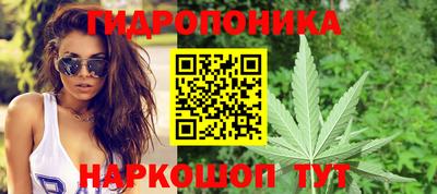 скорость Дубна
