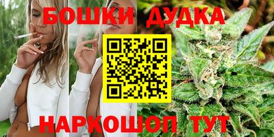 скорость Дубна