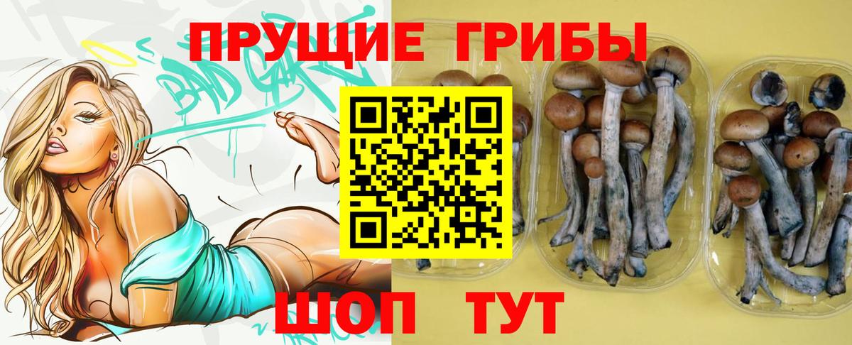 Корсаков  Галлюциногенные грибы Psilocybine cubensis  Псилоцибиновые грибы ЛСД  сколько стоит  Вход с VPN 